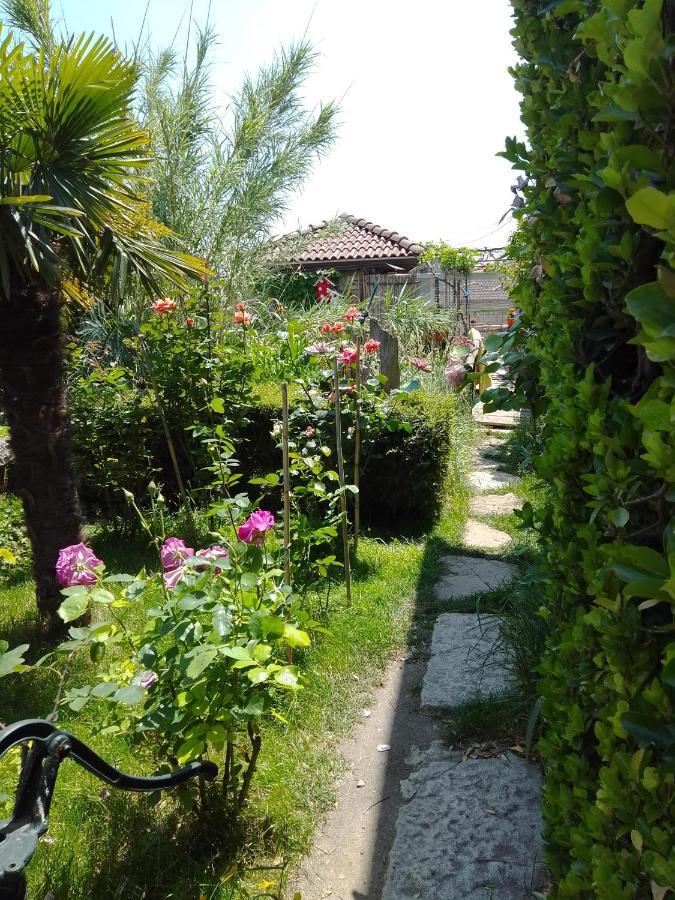 Guest House Amazonia Varna Exterior foto