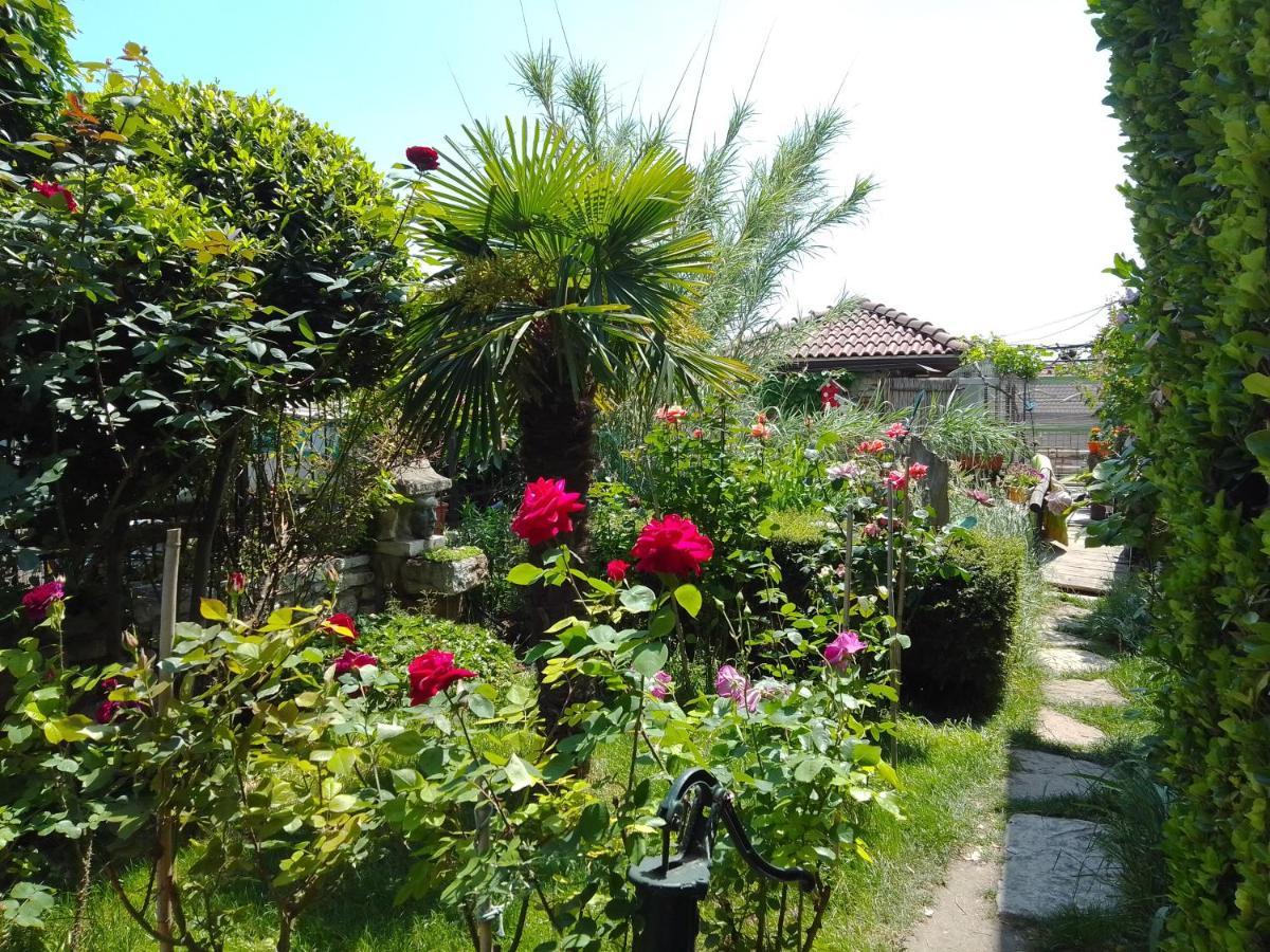 Guest House Amazonia Varna Exterior foto