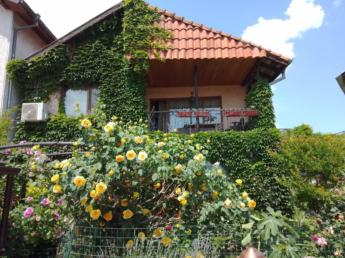 Guest House Amazonia Varna Exterior foto